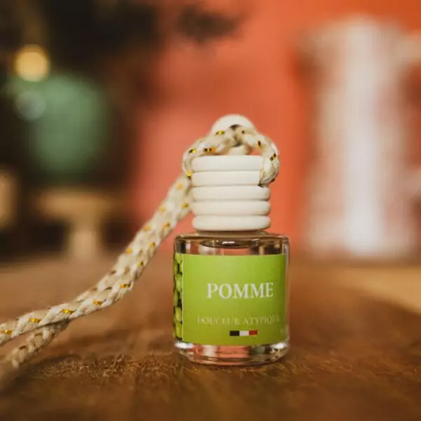 Diffuseur voiture – Pomme - Saldi Straordinari – Offerte Speciali Disponibili Adesso - Pare choc