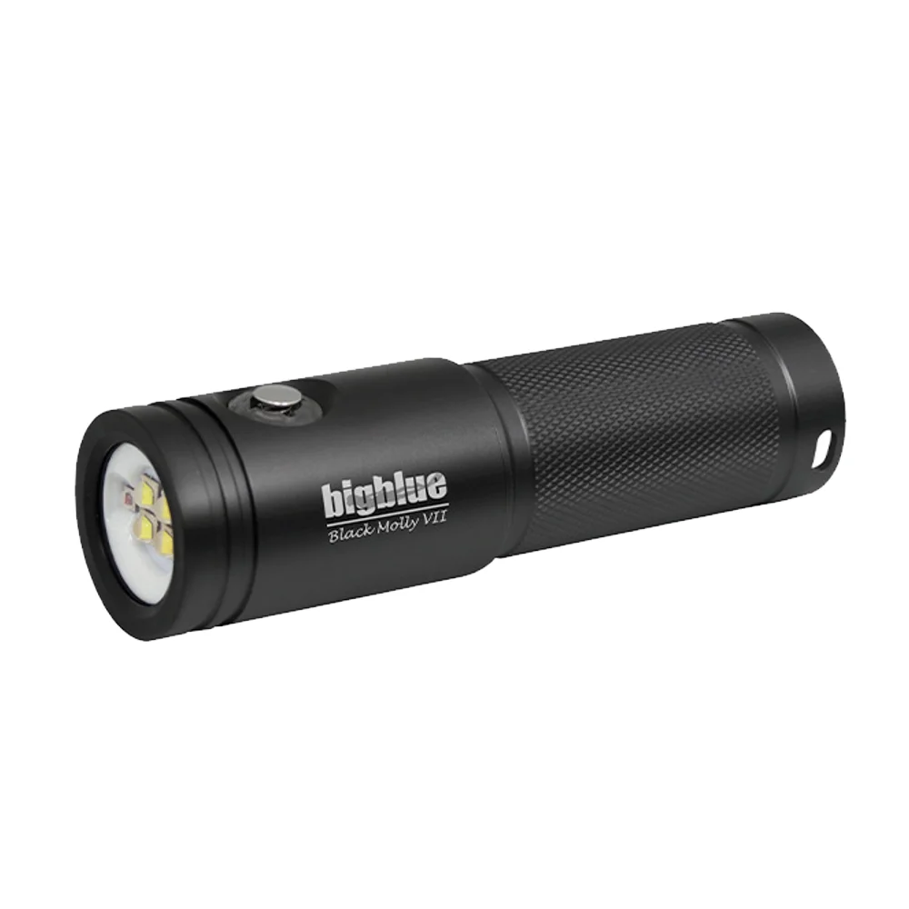 BIGBLUE AL2900XWP II TRI COLOR, C11CJ65506 BLACK MOLLY VII - Saldi Straordinari – Offerte Speciali Disponibili Adesso