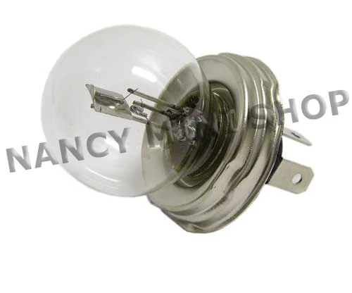 Ampoule d’optique de phare CE - Saldi Straordinari – Offerte Speciali Disponibili Adesso - tracteur iseki ampoule phare ce