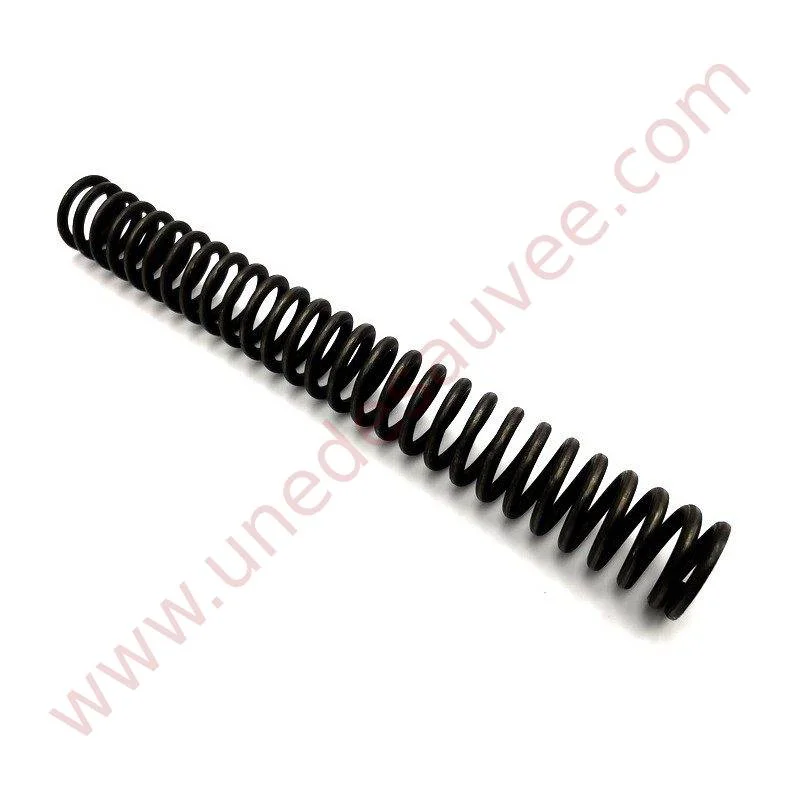RESSORT POMPE A HUILE RENFORCE PEUGEOT 309 205 306 GTI CTI S16 GTI 16 - Saldi Straordinari – Offerte Speciali Disponibili Adesso Ressort de Pompe à Huile GrN pour Moteurs F7