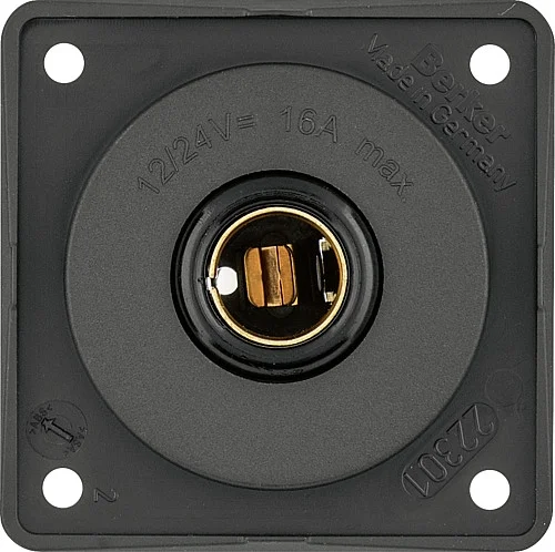 Petite prise 12 V DIN - Offre limitée dans le temps ⏳ Ne tardez pas à commander ! Prise double électrique murale | achat-electrique.com