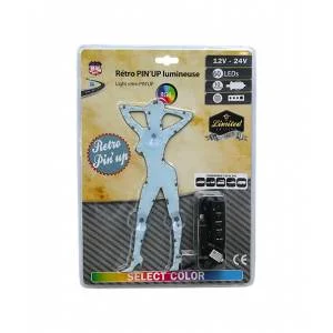 Pin-Up lumineuse multicouleurs 60 leds 12/24V - Accessoires Outdoor pour Plus de Liberté de Mouvement - {'count': 2, 'name': 'Lampe'}