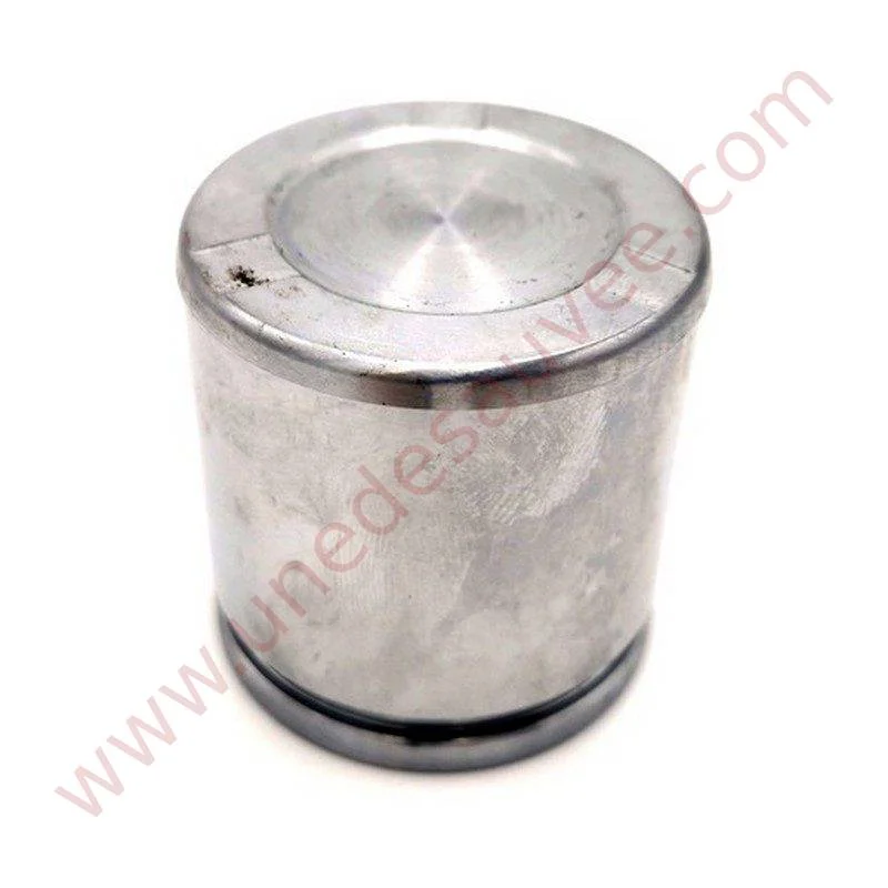 PISTON ÉTRIER FREIN AVANT 48 MM PEUGEOT 205 GTI CTI 1.6 RALLYE - Saldi Straordinari – Offerte Speciali Disponibili Adesso Kit Jeu de Mâchoires de Frein Peugeot 205 GTI CTI 1.6 Rallye GIRLING - fr